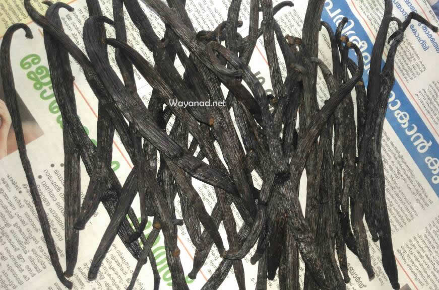 Wayanad Spices Wayanad spices