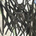vanilla pods
