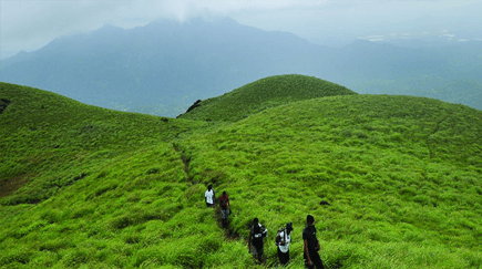 Wayanad important phone numbers important phone numbers