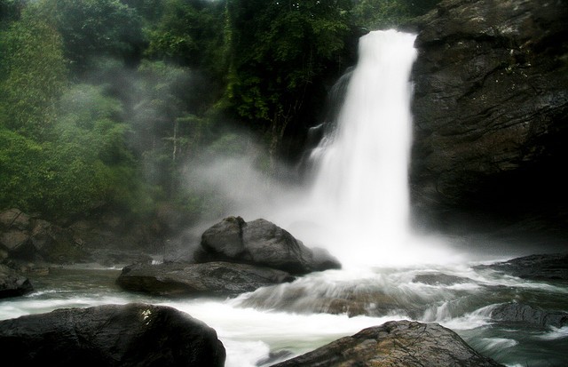 Wayanad mainpage wayanad