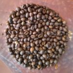 roasted coffee beans robusta